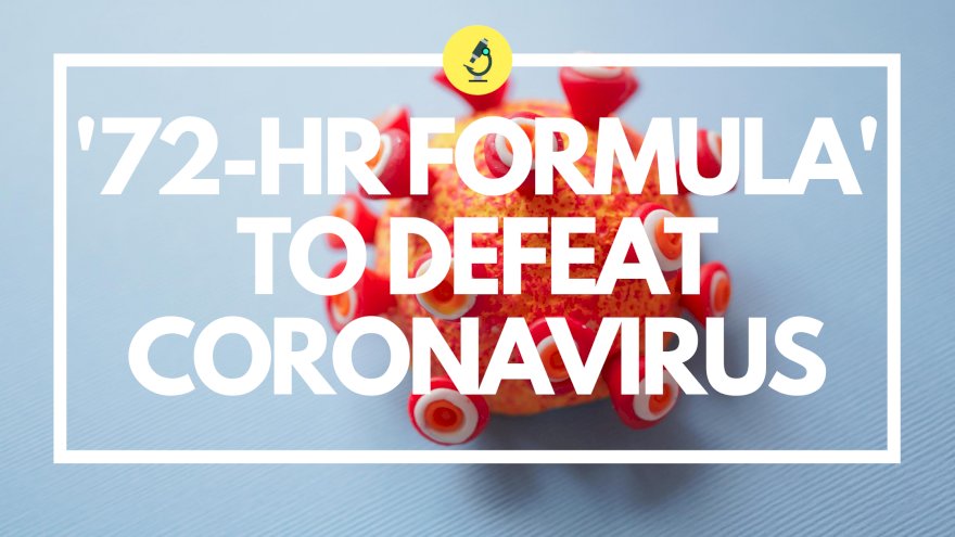 '72-Hr Formula' To Defeat Coronavirus : PM Modi