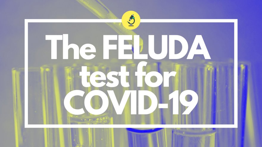 The FELUDA test for COVID-19 : Approved and Explained