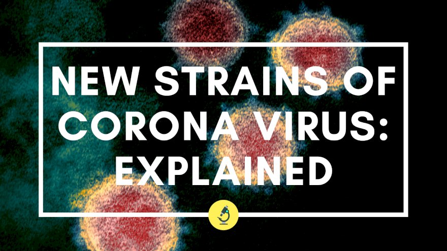 New Strains of Corona Virus: Explained