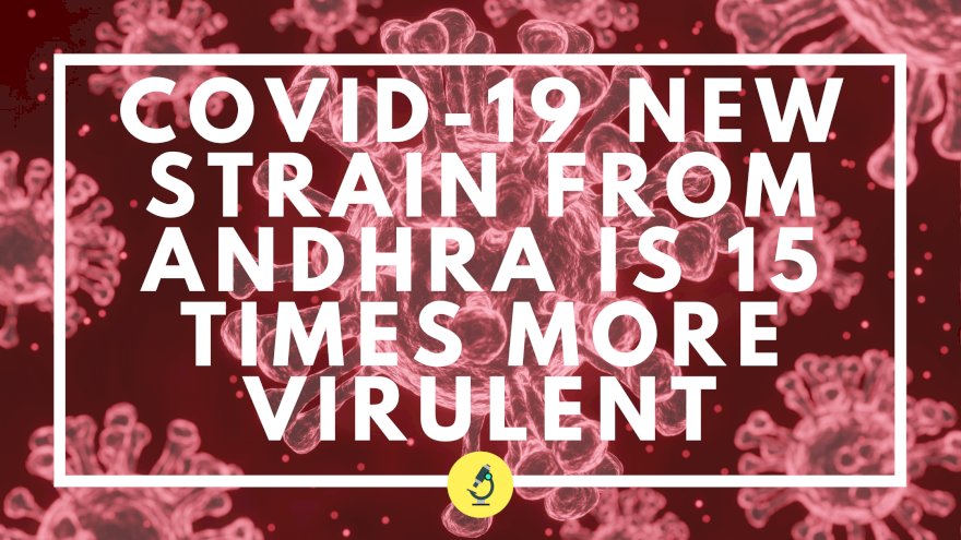 COVID-19 | Andhra Pradesh strain at least 15 times more virulent