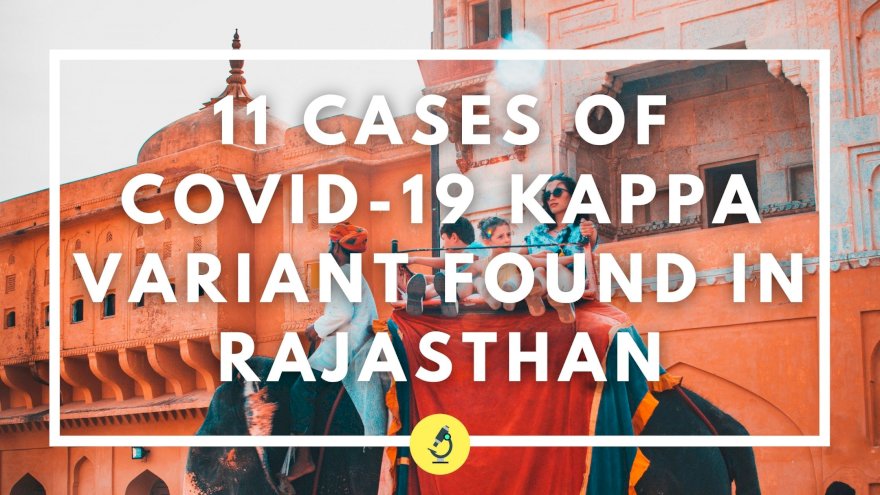 11 cases of COVID-19 Kappa variant found in Rajasthan