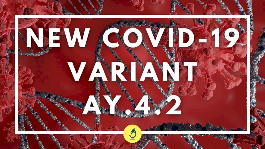 New COVID-19 Variant AY.4.2 'Highly Transmissible But Less Fatal' - ICMR