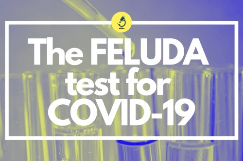 The FELUDA test for COVID-19 : Approved and Explained