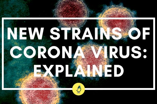 New Strains of Corona Virus: Explained