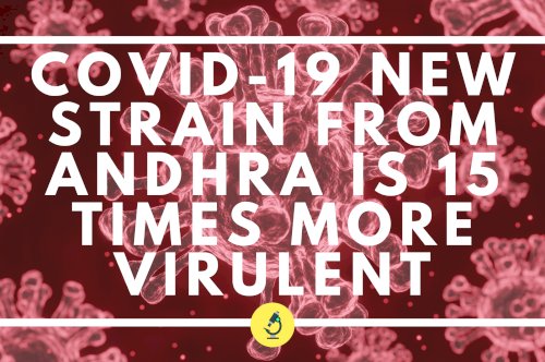 COVID-19 | Andhra Pradesh strain at least 15 times more virulent