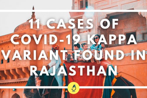11 cases of COVID-19 Kappa variant found in Rajasthan