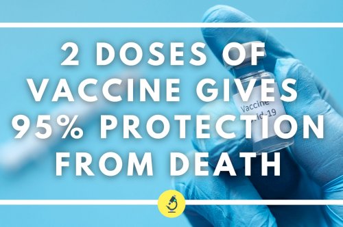 2 doses of vaccine gives 95% protection from death against Delta variant of COVID-19: Centre
