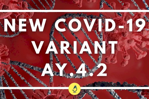New COVID-19 Variant AY.4.2 'Highly Transmissible But Less Fatal' - ICMR