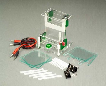 TekBIO Horizontal & Vertical Gel Electrophoresis systems