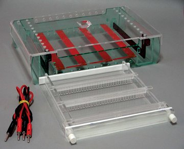 TekBIO Horizontal & Vertical Gel Electrophoresis systems