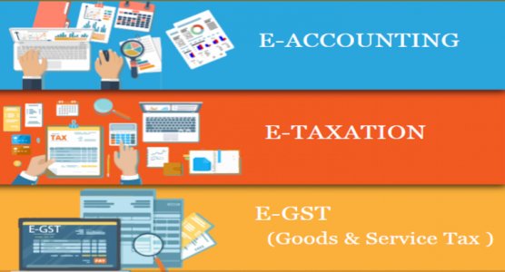 Diploma in Accounting Delhi, GST Course with Tally Prime in Delhi, 100% Job Guarantee, Free SAP HANA Finance Course