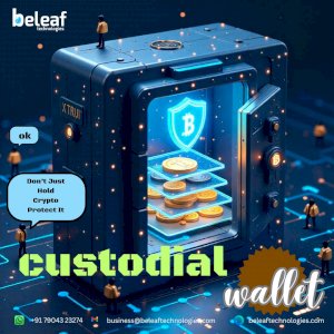 'Don’t Just Hold Crypto Protect It - Custodial wallet'