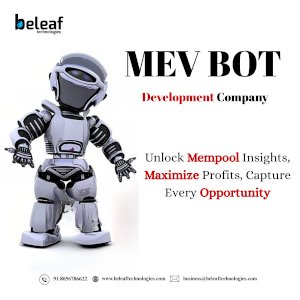 Professional MEV BOT Services with Continuous Monitoring and Expert Assistance