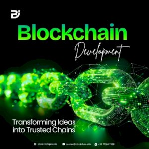 Top-Level Blockchain Innovation Services - Block Intelligence 