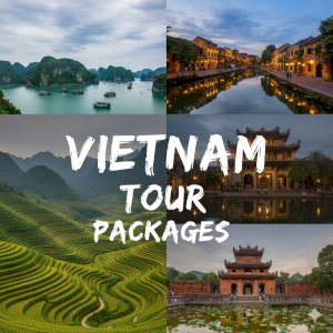 Plan Your Perfect Getaway with Vietnam Tour Packages from SkyPlanet Holidays