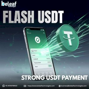 From Wallet to Worldwide Build a Strong USDT Payment 