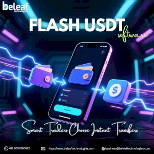 Smart Traders Choose Flash USDT Software for Instant Transfers