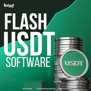 Upgrade Your Crypto Workflow with Secure Flash USDT Software