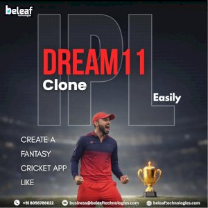 Create a Fantasy Cricket App Like Dream11 Easily