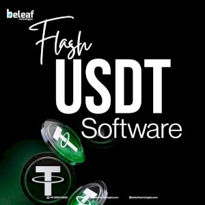 Faster Transactions, Smarter Workflow Flash USDT Software