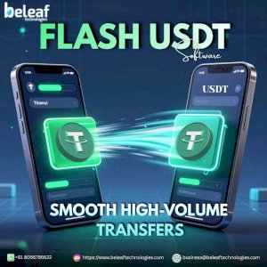 Flash USDT Software for Smooth High-Volume Transfers