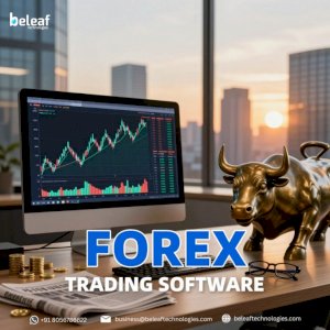 What Nobody Tells You About Forex Trading Software 