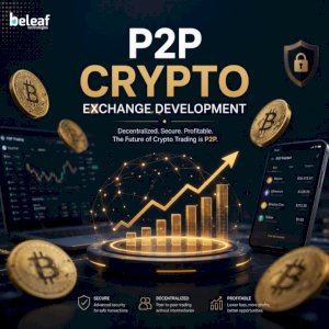 Which P2P Crypto Platform Feels the Safest to Use Right Now?