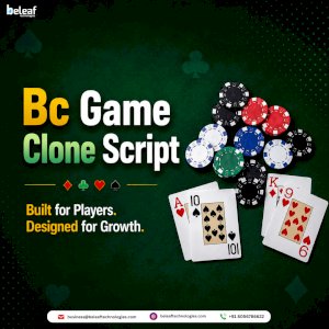 Create a High-Growth Gaming Business with BC Game Clone Script 