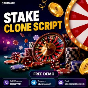 Ready to Explore a Powerful Stake Clone Script Solution?
