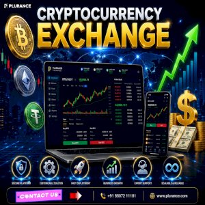 Looking for a Cost-Effective Way to Enter the Crypto Industry? 