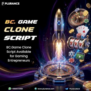 Why Spend Months Building When a BC.Game Clone Script Is Ready?