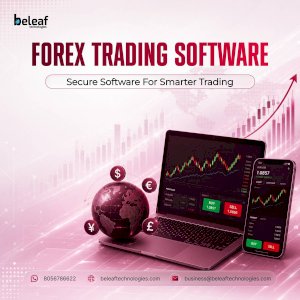 Maximize Trading Potential Through Reliable Forex Software