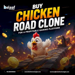 Buy Chicken Road Clone Script for a Profitable Gaming Platform