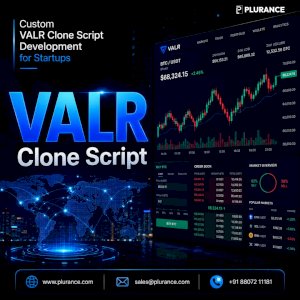 Buy a Secure VALR Clone Script for Your Crypto Business