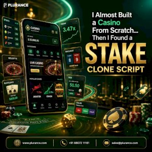 I Almost Built a Casino From Scratch.Then I Found a Stake Clone Script