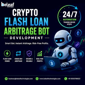 Expert Flash Loan Arbitrage Bot Developers – 24/7 Automation