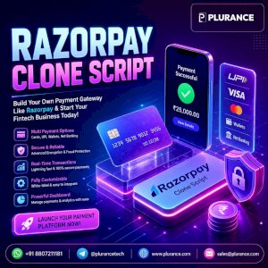 Your Payment Platform Starts With a Razorpay Clone Script
