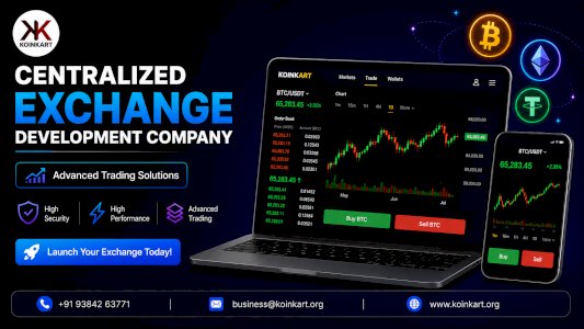 Centralized Exchange Development Company with Advanced Trading Solutions 