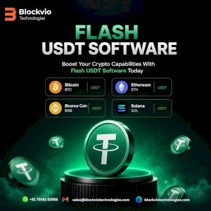 Boost Your Crypto Capabilities With Flash USDT Software Today