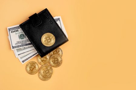 Custom Cryptocurrency Wallet Development Company