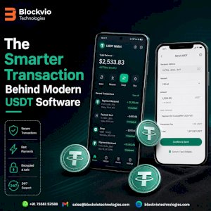The Smarter Transaction Behind Flash USDT Software