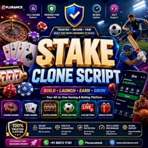 Bring Your Gaming Business Vision to Life with Stake Clone Script