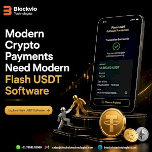 Modern Crypto Payments Need Modern Flash USDT Software