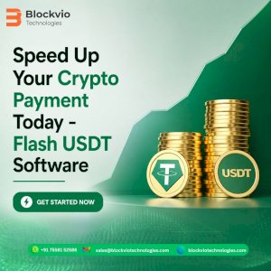 Speed Up Your Crypto Payment Today - Flash USDT Software