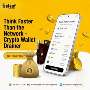 Think Faster Than the Network - Crypto Wallet Drainer