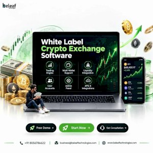 Earn Dollars Through Crypto Trading with White Label Exchange Software
