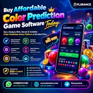 Build Your Color Prediction Game Smartly on a Budget