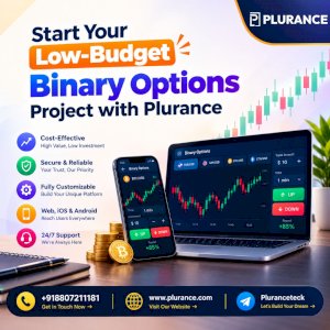 Low-budget binary options trading platform development 