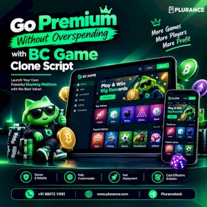 Premium Gaming, Budget-Friendly BC Game Clone Script 