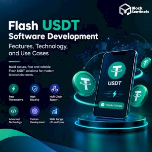 Flash USDT Software Development: Features, Technology, and Use Cases